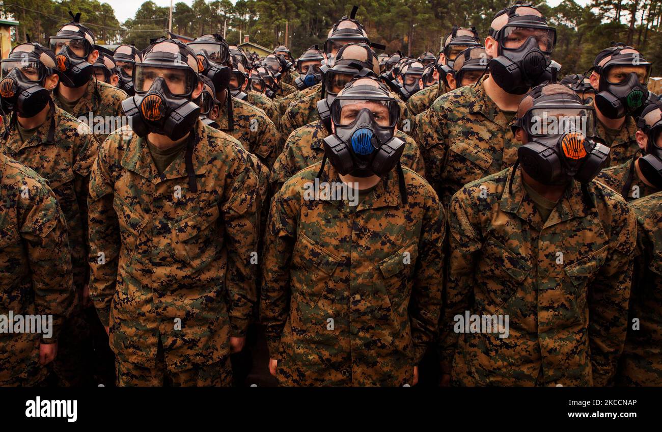 Le reclute si preparano ad entrare in una camera a gas a Parris Island, South Carolina. Foto Stock