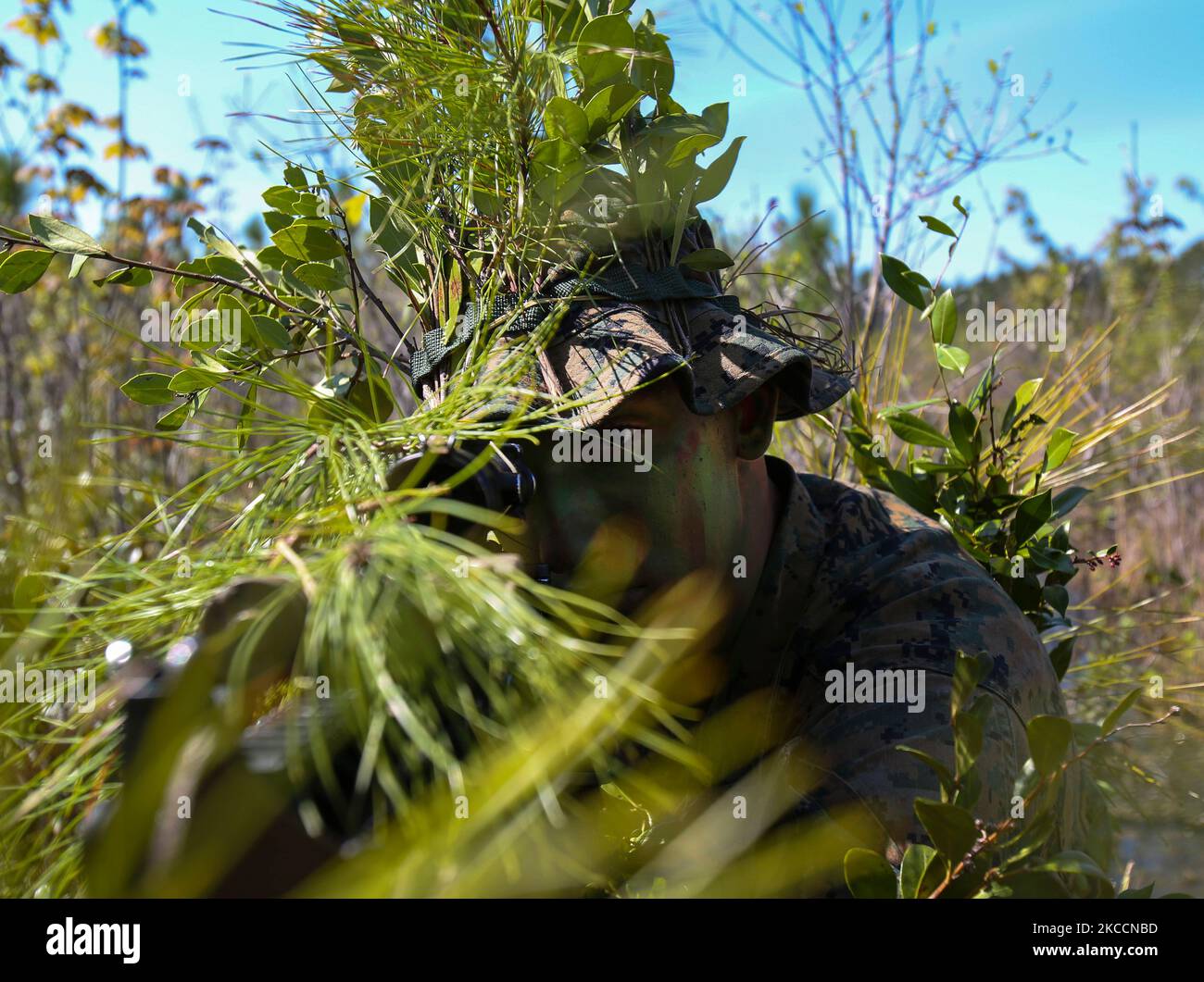 Un cecchino statunitense Marine Scout guarda attraverso la portata del suo fucile. Foto Stock