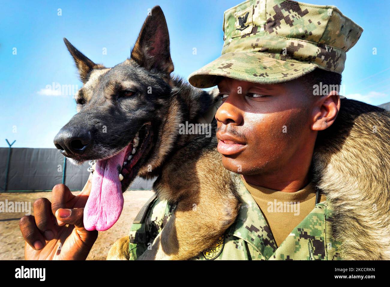 U.S. Navy Master-at-Arms ha bisogno di un momento per lasciare riposare il suo cane militare. Foto Stock