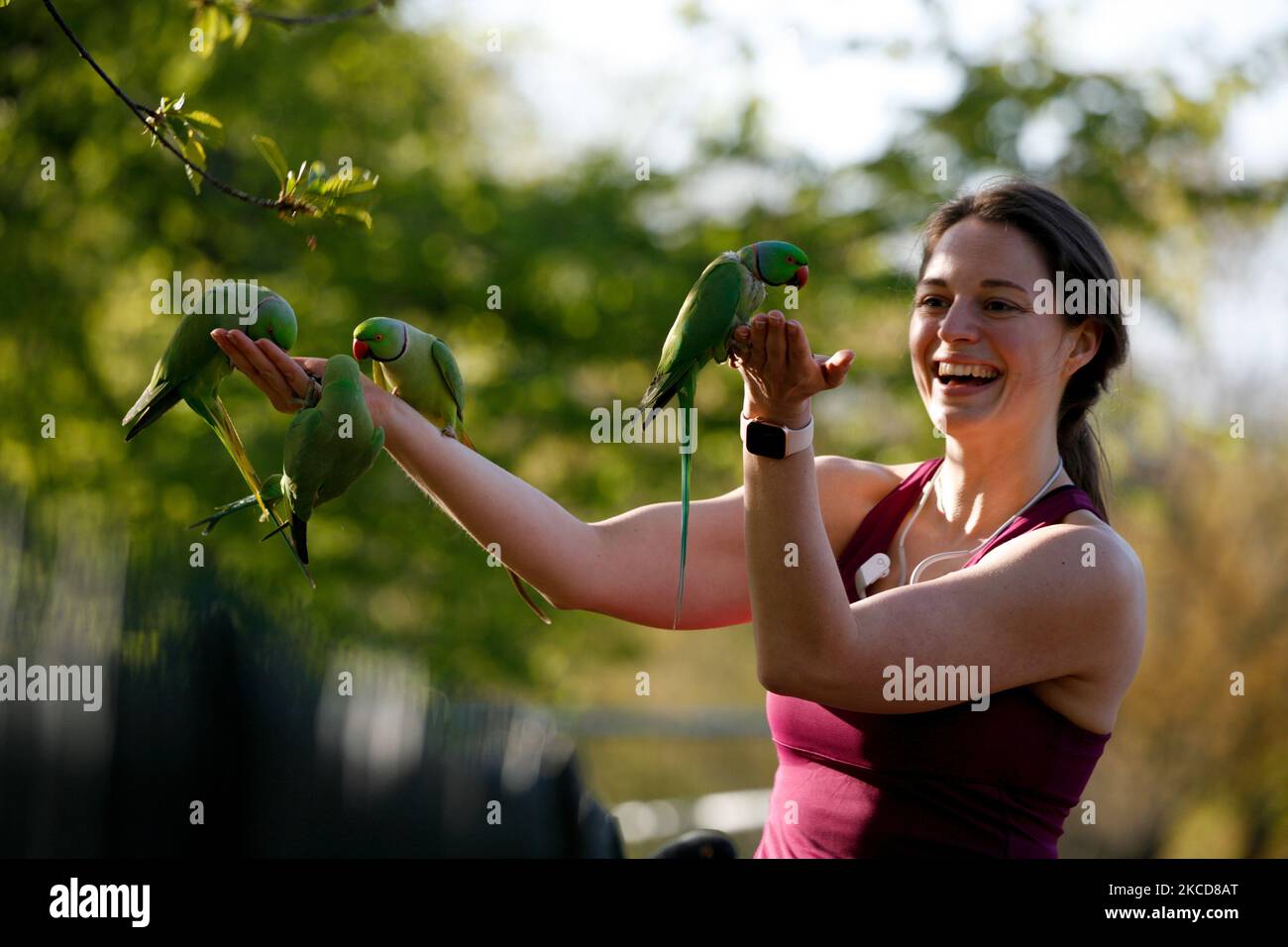Una donna nutre i parakeets nelle belle giornate primaverili a Kensington Gardens a Londra, Inghilterra, il 22 aprile 2021. (Foto di David Cliff/NurPhoto) Foto Stock