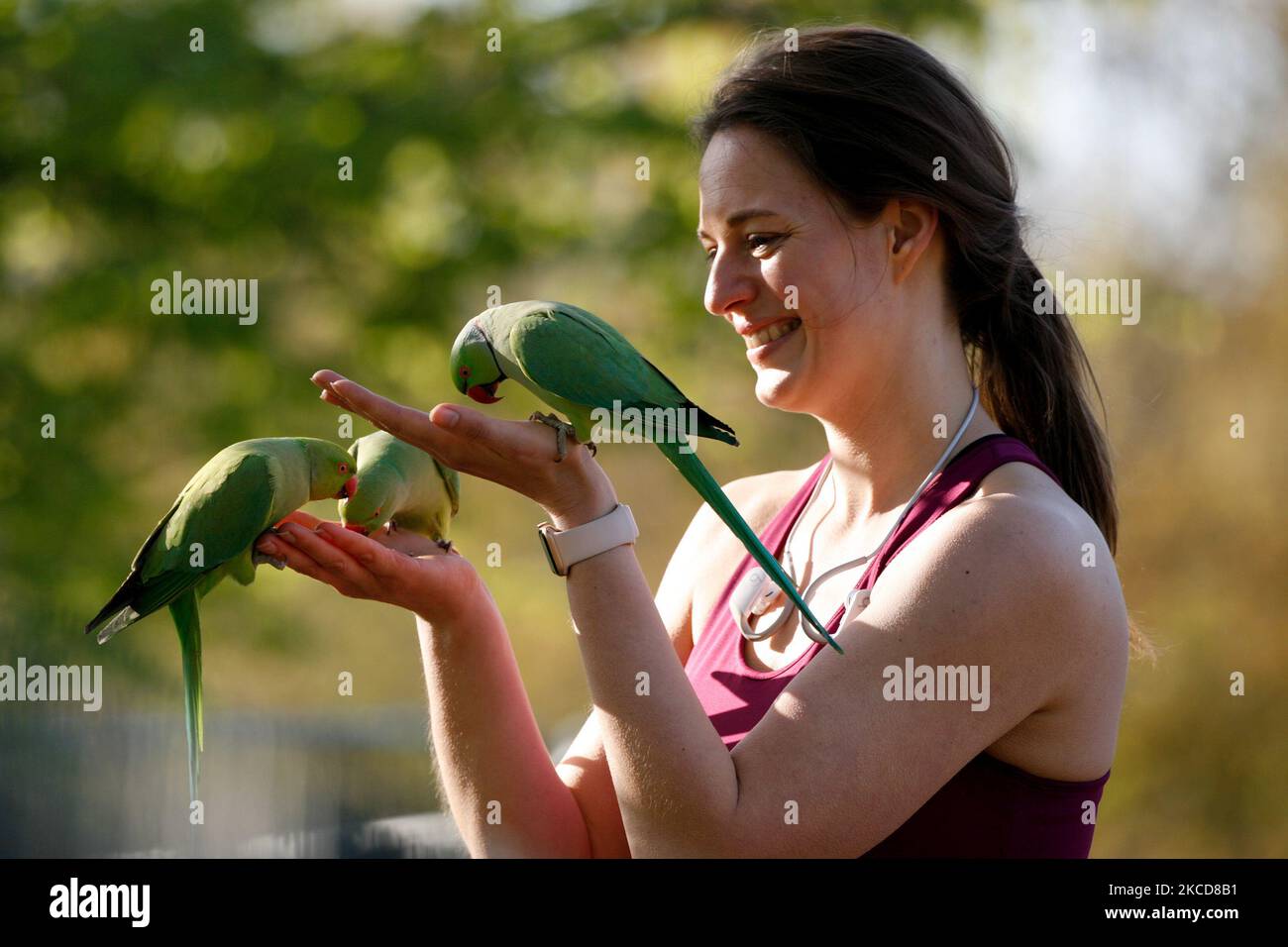 Una donna nutre i parakeets nelle belle giornate primaverili a Kensington Gardens a Londra, Inghilterra, il 22 aprile 2021. (Foto di David Cliff/NurPhoto) Foto Stock