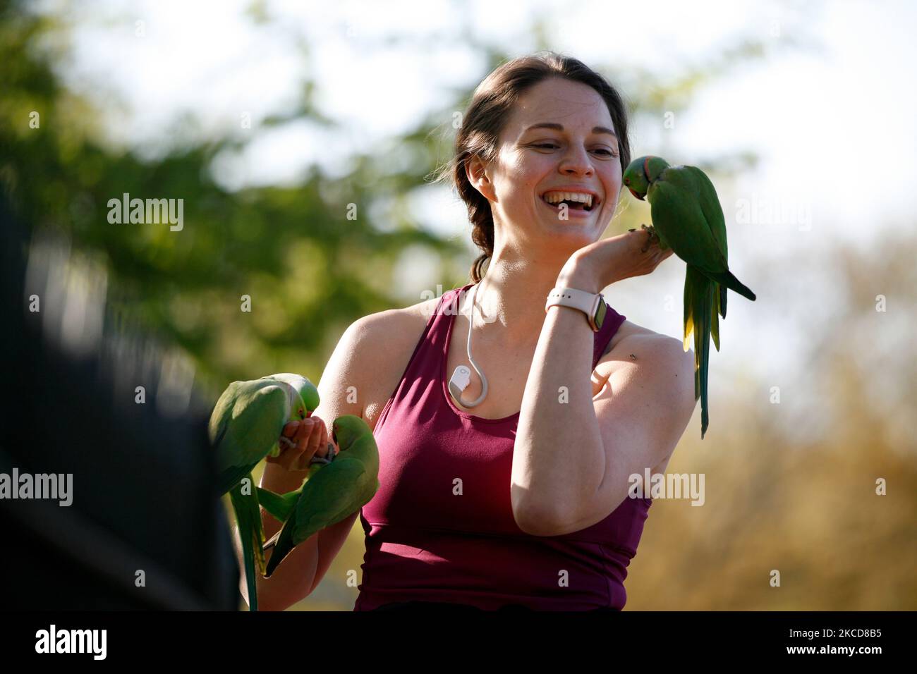 Una donna nutre i parakeets nelle belle giornate primaverili a Kensington Gardens a Londra, Inghilterra, il 22 aprile 2021. (Foto di David Cliff/NurPhoto) Foto Stock