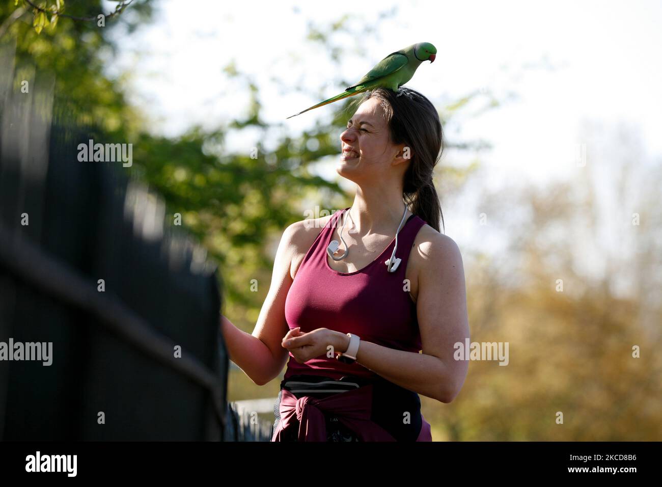 Una donna nutre i parakeets nelle belle giornate primaverili a Kensington Gardens a Londra, Inghilterra, il 22 aprile 2021. (Foto di David Cliff/NurPhoto) Foto Stock