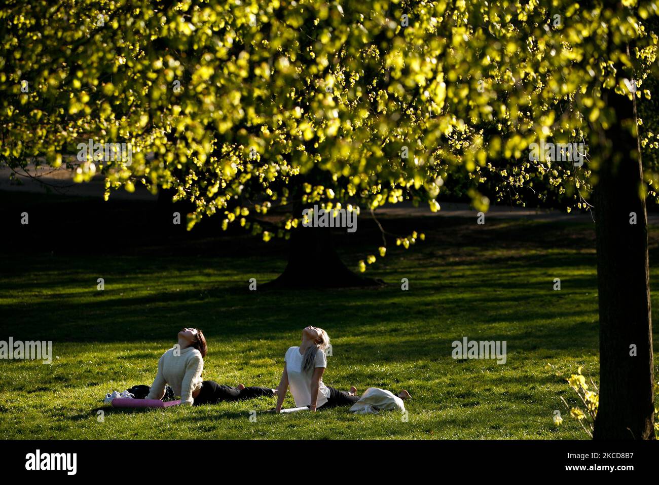 Due donne praticano lo yoga nelle belle giornate primaverili a Hyde Park, Londra, Inghilterra, il 22 aprile 2021. (Foto di David Cliff/NurPhoto) Foto Stock