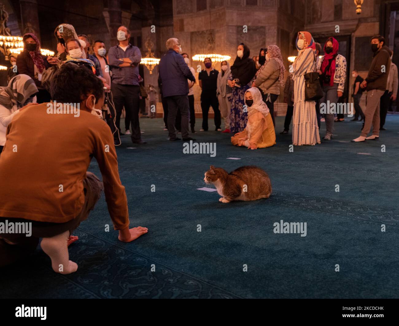 I gatti nella Grande Moschea di Hagia Sophia a Istanbul, Turchia, attirano l'attenzione dei visitatori, il 23 aprile 2021. I turisti che sono esclusi dal coprifuoco visitano il luogo storico, eseguono le loro preghiere e scattano foto dei gatti all'interno della moschea. (Foto di Erhan Demirtas/NurPhoto) Foto Stock