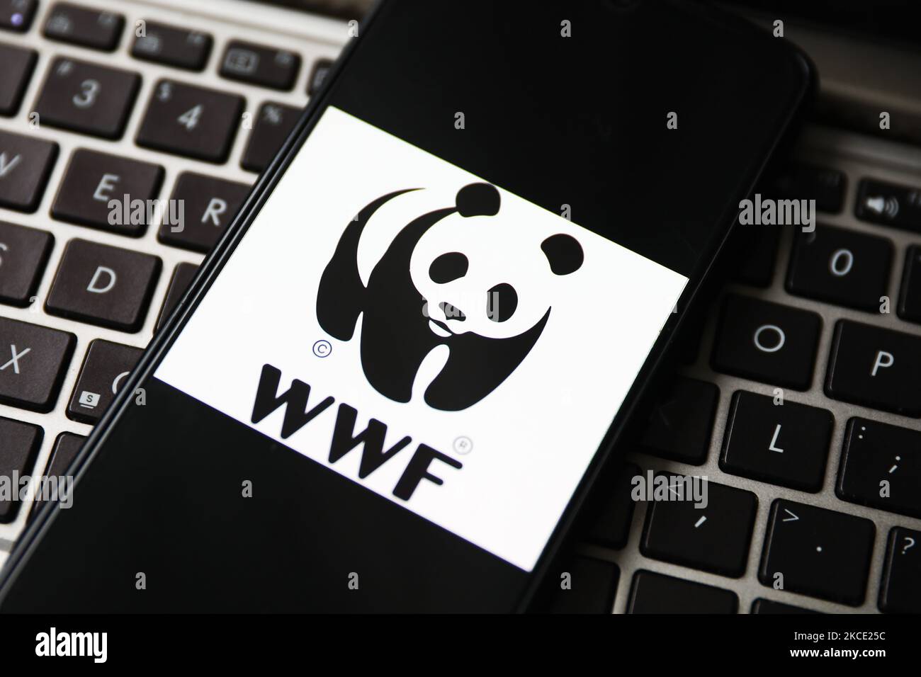 Il logo WWF viene visualizzato sullo schermo di un telefono cellulare fotografato per una foto di illustrazione. Gliwice, Polonia il 5 maggio 2021. (Foto di Beata Zawrzel/NurPhoto) Foto Stock