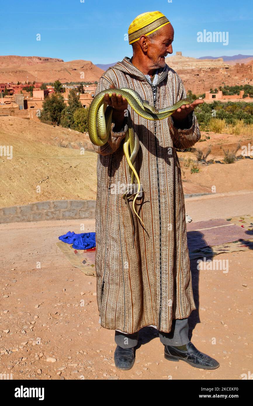 L'uomo berbero tiene serpenti in attesa che i turisti posino con loro intorno al collo nel deserto del Sahara, nel profondo delle montagne dell'Alto Atlante in Marocco, Africa. (Foto di Creative Touch Imaging Ltd./NurPhoto) Foto Stock