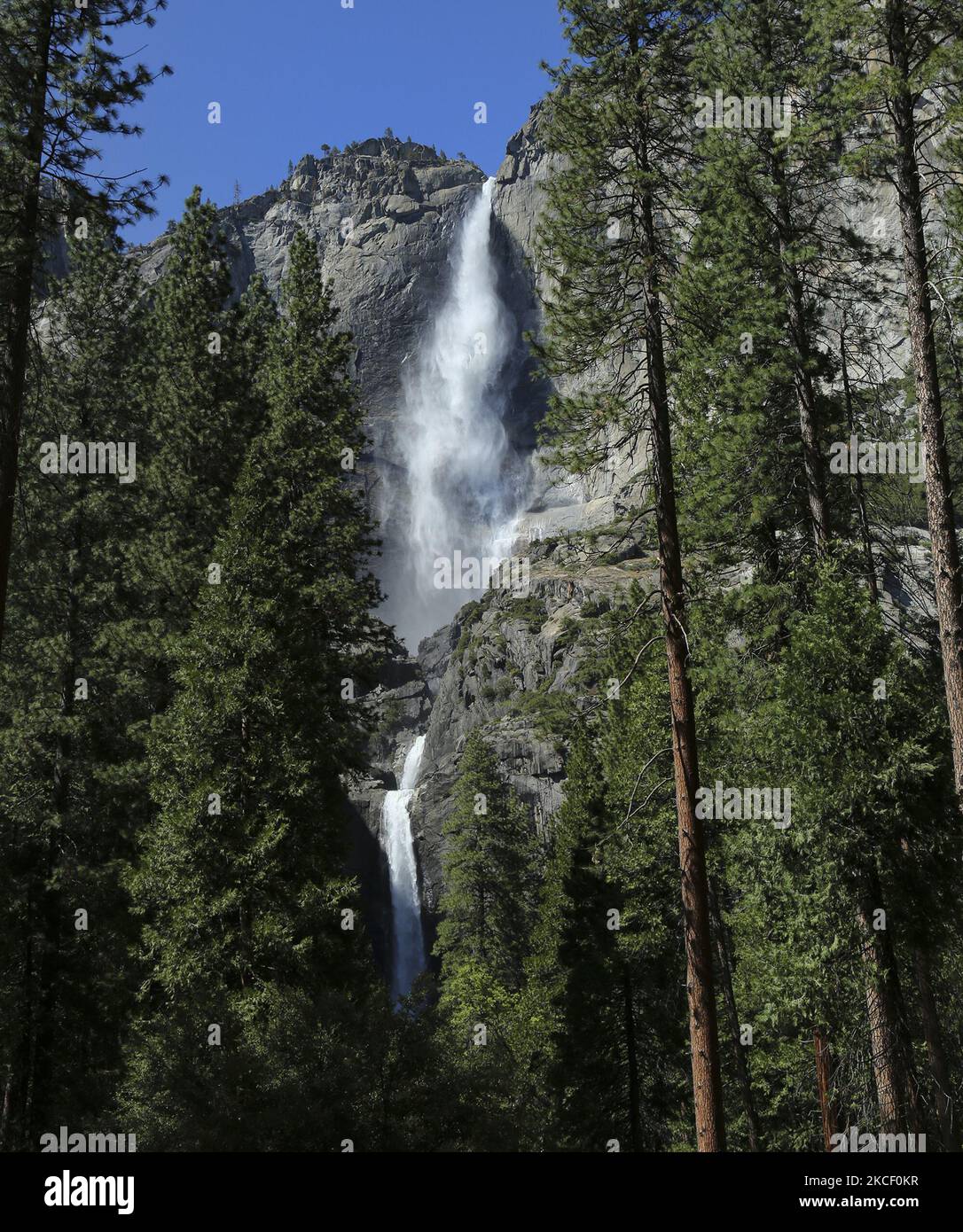 Il Covid 19 Pandemic ha chiuso la maggior parte dei parchi nazionali degli Stati Uniti durante il 2020. I Parchi nazionali stanno lentamente aprendo per la stagione 2021.Vista delle Cascate superiori e inferiori di Yosemite nel Parco Nazionale di Yosemite Martedì 11 2021 Maggio. Foto di Tom o'Neill (Foto di Thomas o'Neill/NurPhoto) Foto Stock