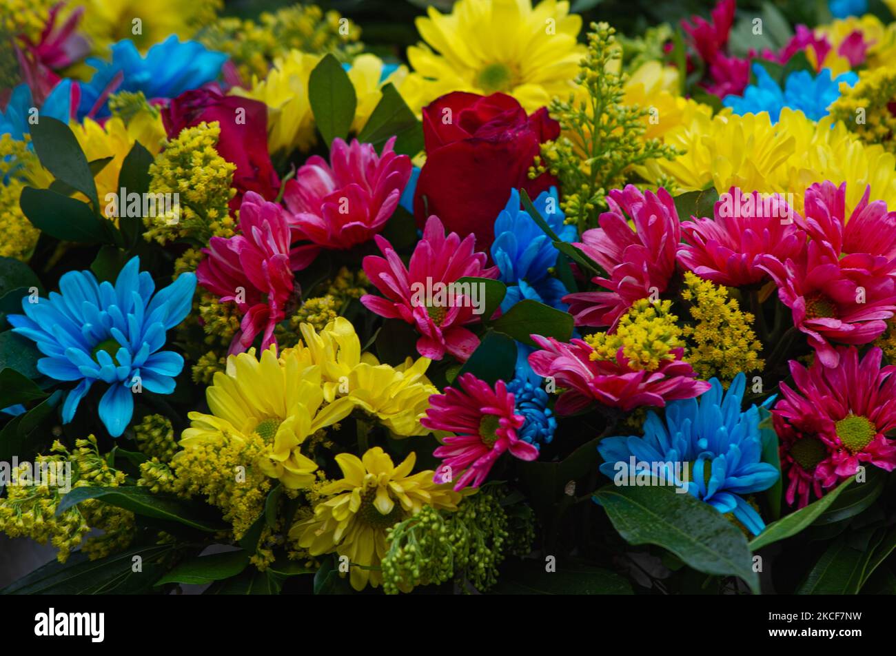 Una corone funerarie fatte da diversi fiori tinti con i colori della bandiera nazionale colombiana è impostato come la gente si riunisce a Plaza de Bolivar di fronte al Congresso Capitol per sostenere la mozione di censura al ministro della Difesa della Colombia Diego Molano dopo almeno 45 morti in casi di brutalità della polizia durante Le proteste contro il governo contro le riforme fiscali e sanitarie e la brutalità della polizia si sono evolute in Colombia nelle ultime settimane, a Bogotà, in Colombia, il 24 maggio 2021. (Foto di Sebastian Barros/NurPhoto) Foto Stock