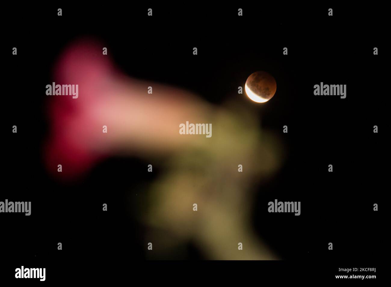 L'Eclipse lunare totale della Luna si vede il 26 maggio 2021 a Sumedang, Indonesia. Una luna super sangue è un nome dato ad una luna piena (o nuova) che si verifica quando la luna è in perigeo - o più vicina alla terra - ed è la vicinanza della luna alla terra che ne risulta nel suo aspetto più luminoso e più grande. (Foto di Algi Libri Sugita/NurPhoto) Foto Stock