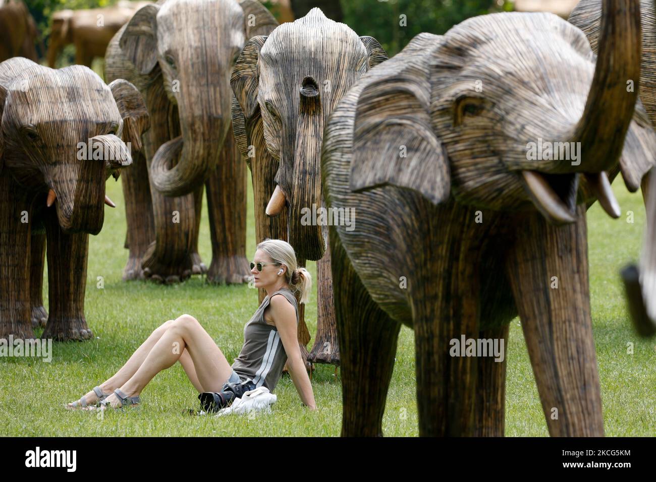 Una donna siede accanto a due delle sculture a grandezza naturale di una mandria di elefanti asiatici in mostra a Green Park a Londra, Inghilterra, il 16 giugno 2021. Le sculture, destinate a evidenziare la coesistenza uomo-fauna selvatica e l'importanza di proteggere la biodiversità, sono state realizzate dalle vigne di lantana camara da comunità indigene nella regione del Tamil Nadu, nell'India meridionale, che vivono la loro vita quotidiana accanto agli elefanti. L'installazione fa parte del cosiddetto progetto di coesistenza, gestito congiuntamente dalle associazioni di beneficenza, la famiglia degli Elefanti e il collettivo degli Elefanti reali. (Foto di David Cliff/NurPhoto) Foto Stock