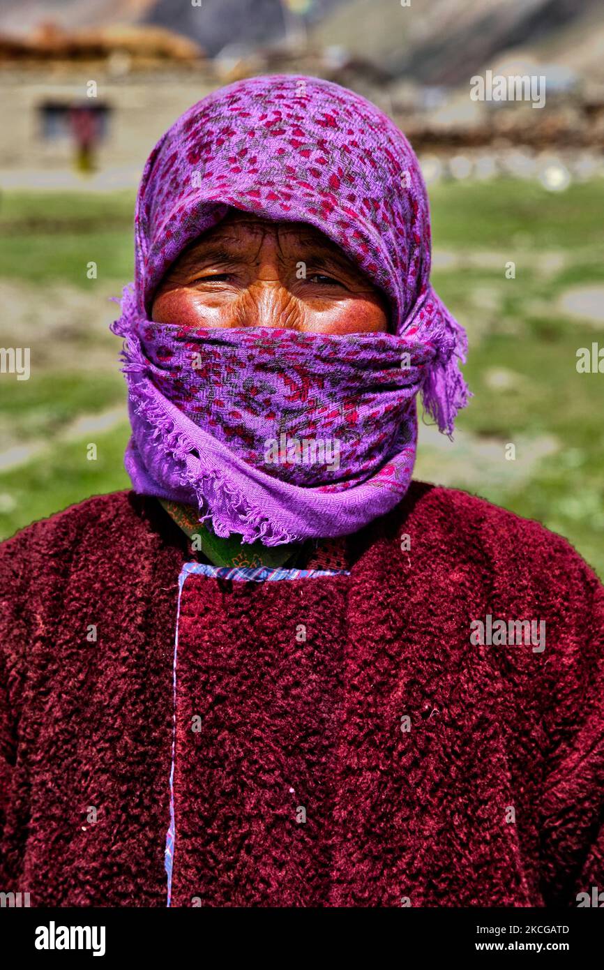 Donna Ladakhi che arruolava dzos e dzomos in un piccolo villaggio di Zanskar, Ladakh, Jammu e Kashmir, India. Un dzo è un incrocio ibrido tra un yak e una mucca domestica e un dzomo è la controparte femminile. (Foto di Creative Touch Imaging Ltd./NurPhoto) Foto Stock