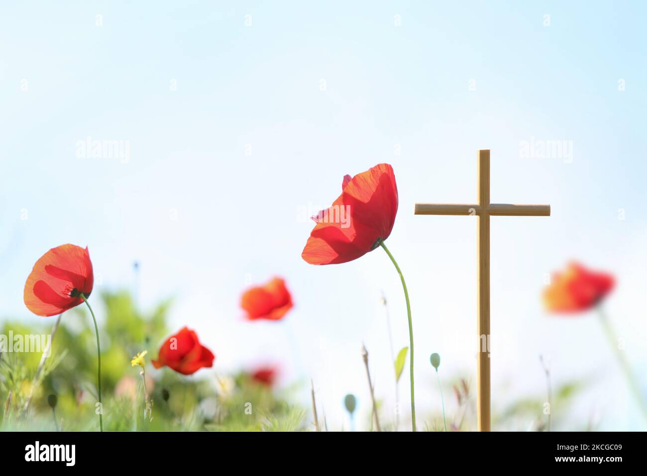 Bellissimi fiori di papavero rosso e Santa croce di Gesù Cristo sfondo Foto Stock
