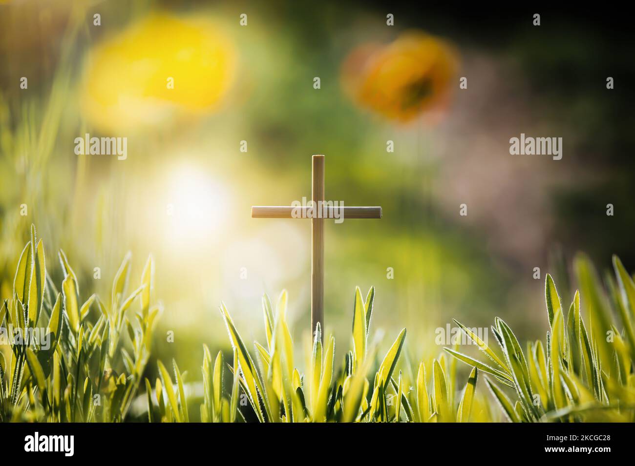 Sfondo con gemme verdi e fiori bellissimi e la Santa croce di Gesù Cristo Foto Stock