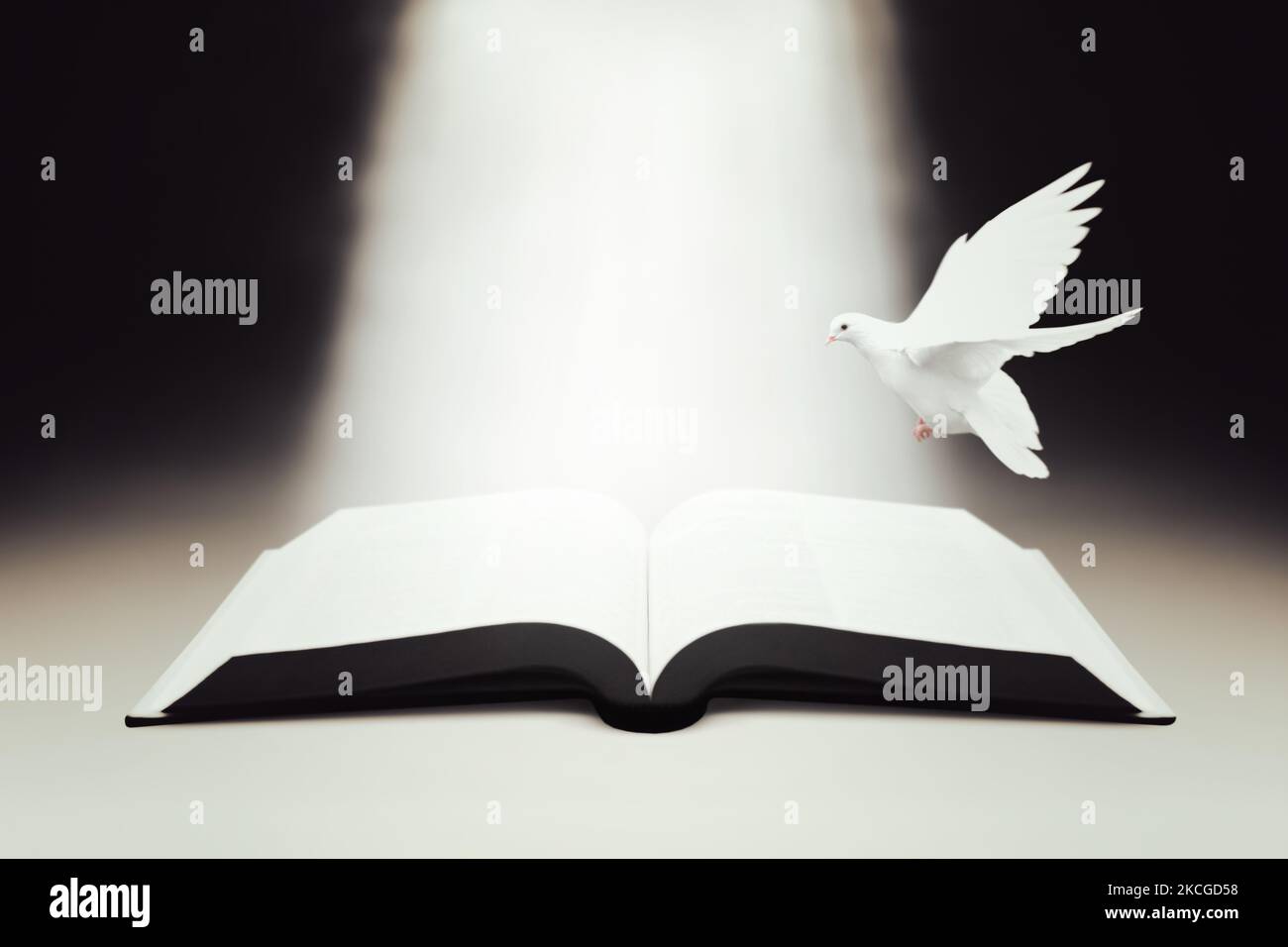 La parola luminosa della vita, la Bibbia, il fascio luminoso della luce e la colomba bianca dello Spirito Santo Foto Stock