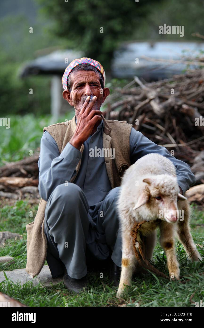 Gaddi fuma un biddi (sigaretta arrotolata a mano) mentre tiene un piccolo agnello nel villaggio di Mandher a Himachal Pradesh, India, il 03 luglio 2010. (Foto di Creative Touch Imaging Ltd./NurPhoto) Foto Stock