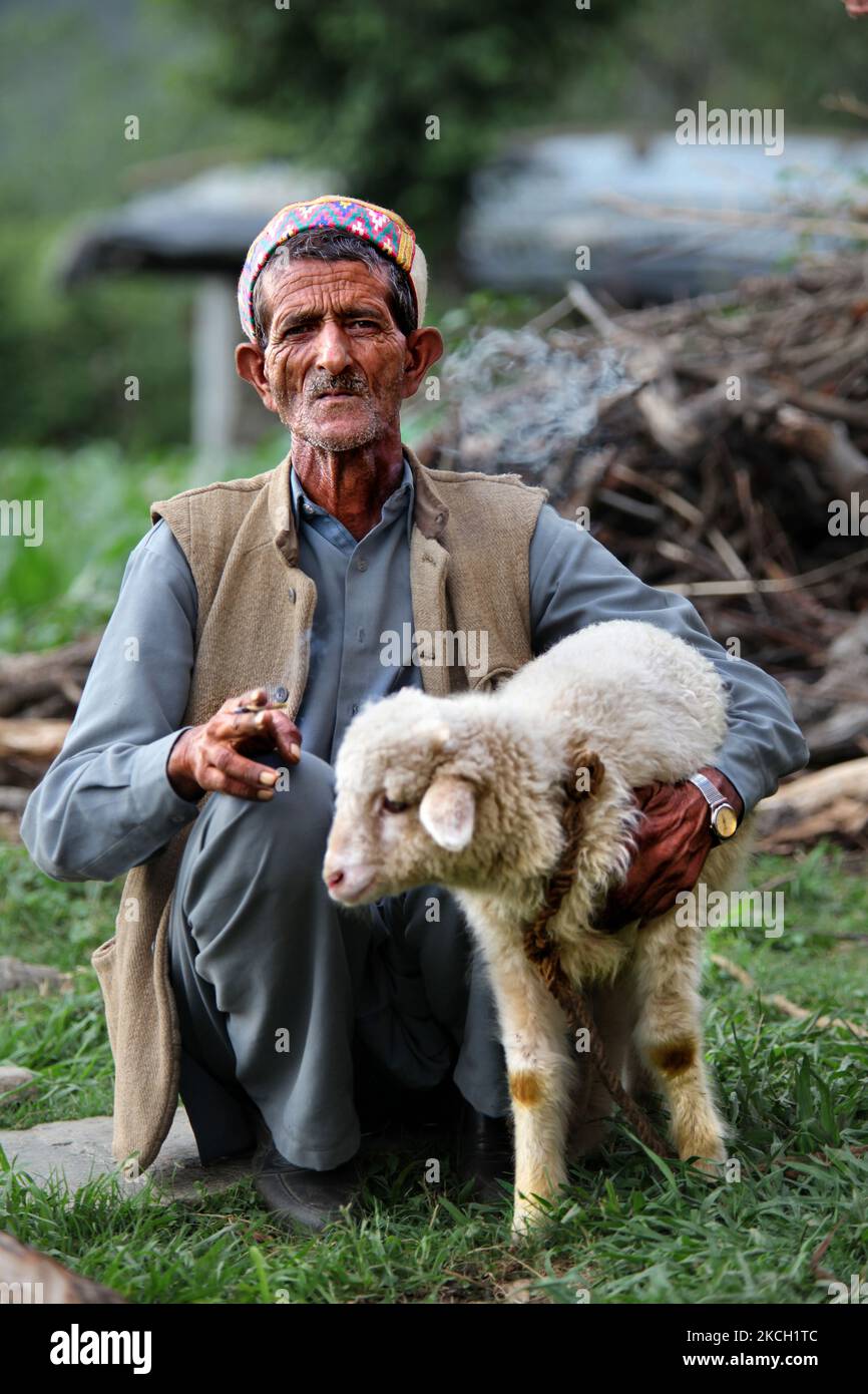 Gaddi fuma un biddi (sigaretta arrotolata a mano) mentre tiene un piccolo agnello nel villaggio di Mandher a Himachal Pradesh, India, il 03 luglio 2010. (Foto di Creative Touch Imaging Ltd./NurPhoto) Foto Stock