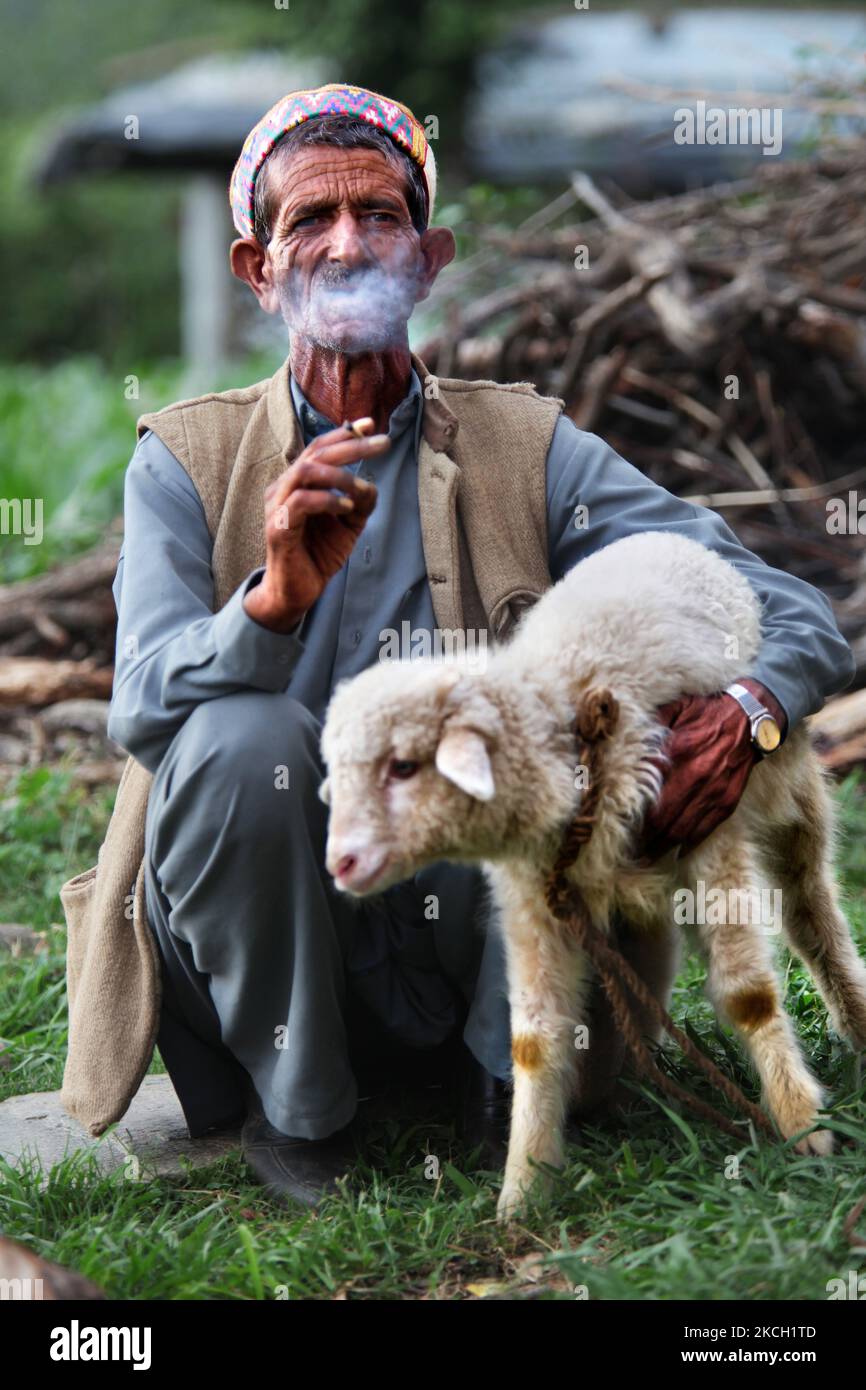 Gaddi fuma un biddi (sigaretta arrotolata a mano) mentre tiene un piccolo agnello nel villaggio di Mandher a Himachal Pradesh, India, il 03 luglio 2010. (Foto di Creative Touch Imaging Ltd./NurPhoto) Foto Stock
