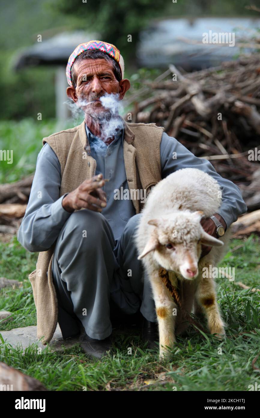 Gaddi fuma un biddi (sigaretta arrotolata a mano) mentre tiene un piccolo agnello nel villaggio di Mandher a Himachal Pradesh, India, il 03 luglio 2010. (Foto di Creative Touch Imaging Ltd./NurPhoto) Foto Stock