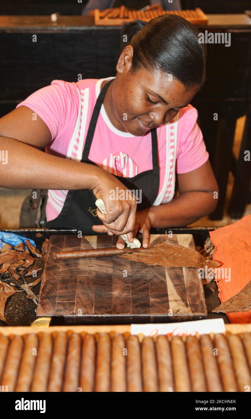 L'operaio usa un piccolo attrezzo per modellare la foglia di tabacco in eccesso su un sigaro appena arrotolato presso la fabbrica LaFlor Dominicana Cigar a la Romana, Repubblica Dominicana, il 19 dicembre 2012. (Foto di Creative Touch Imaging Ltd./NurPhoto) Foto Stock