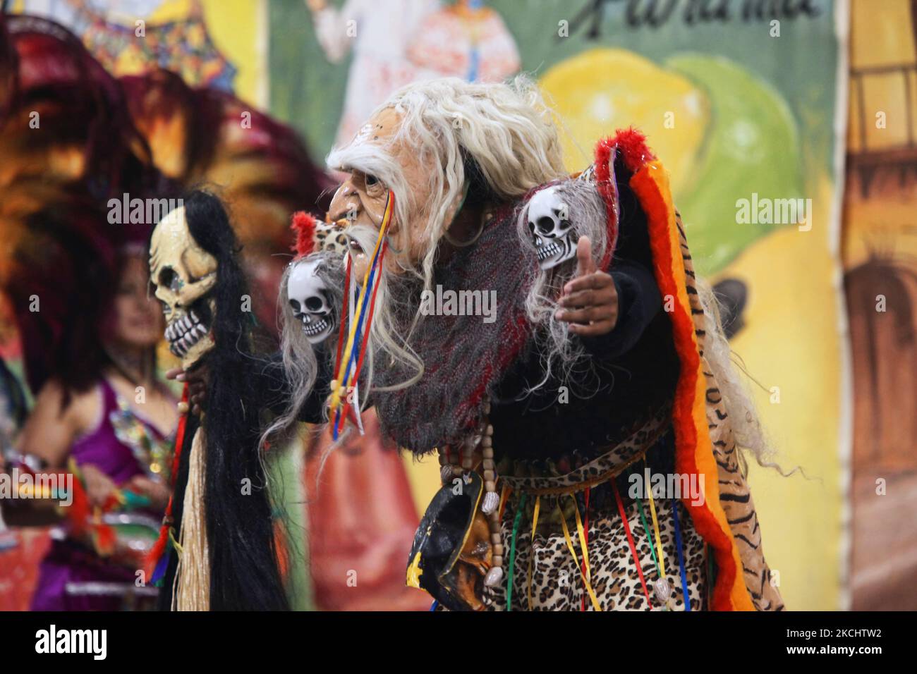 Ballerino boliviano vestito come mago ballare i Tobas durante un programma culturale a Mississauga, Ontario, Canada, il 04 giugno 2011. Il Tobas è una danza popolare dalla Bolivia. La danza folcloristica dei Tobas parla dell'antico passato della Bolivia. Ha radici in un tempo in cui gli Inca erano la forza predominante nella regione degli altopiani andini. (Foto di Creative Touch Imaging Ltd./NurPhoto) Foto Stock