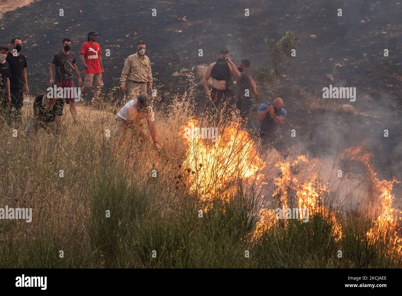 I volontari cercano di spegnere il fuoco colpendolo con rami e gettando sporcizia su di esso. Una massiccia forza di vigili del fuoco provenienti dalla Grecia e da altri paesi europei sta combattendo per giorni. Gli incendi boschivi sono scoppiati in molte parti del paese in mezzo alla peggiore ondata di caldo della Grecia in oltre 30 anni, strappando decine di migliaia di ettari di terreno boschivo, distruggendo case e aziende e uccidendo animali. Atene, Grecia 6th agosto 2021. (Foto di Joseph Galanakis/NurPhoto) Foto Stock