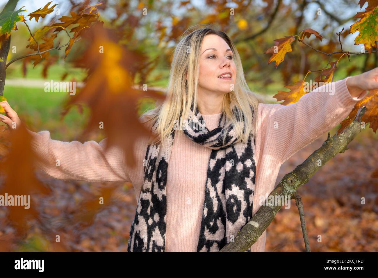 Allegra donna di mezza età che indossa un maglione e una sciarpa sta raggiungendo con la mano la foglia di un albero in un ambiente autunnale Foto Stock