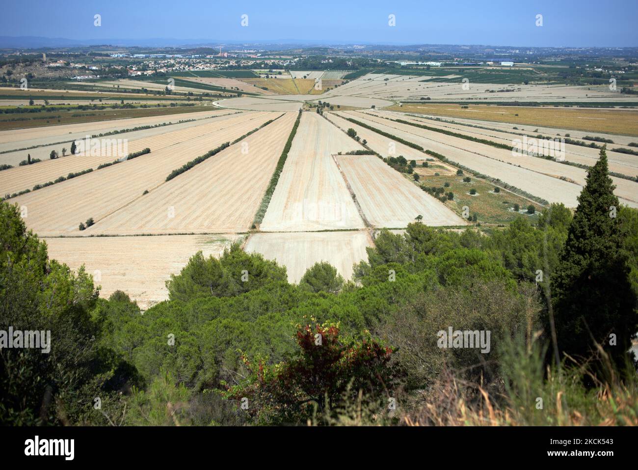 L'Etang de Montady (palude di Montady) è stato costruito dai monaci e dai ricchi proprietari terrieri Béziers durante la seconda metà del 13th ° secolo dopo un'autorizzazione del 1247 da parte dell'arcivescovo di Narbonne. Le date esatte in cui i lavori sono iniziati o terminati non sono chiare, ma il paesaggio attuale è stato completato entro il 1268. L'Étang de Montady è stato drenato per fornire terreno agricolo molto necessario. Questo paesaggio agricolo esiste oggi e può essere visto dall'Oppidum d'Ensérune, una vicina collina e insediamento storico. Montady. Herault, Francia. Agosto 25th 2021. (Foto di Alain Pitton/NurPhoto) Foto Stock