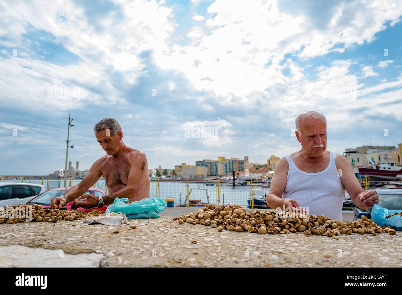Due signori rompono le conchiglie e recuperano le mandorle raccolte nei giorni precedenti, presso il Porto di Molfetta, Italia il 28 agosto 2021. Secondo le ultime stime, le mandorle pugliesi a causa della tempesta di grandine e delle gelate tardive del 8 e 9 aprile, hanno addirittura portato ad un calo della produzione del 80%. In Puglia - aggiunge Coldiretti regionali - una superficie di 19.428 ettari (pari al 35,05% della superficie nazionale coltivata a mandorle) è destinata alla coltivazione delle mandorle, che prevede in media una produzione totale di 264.670 quintali di mandorle, un terzo del totale nazionale (33%). La tropicalizzazione Foto Stock
