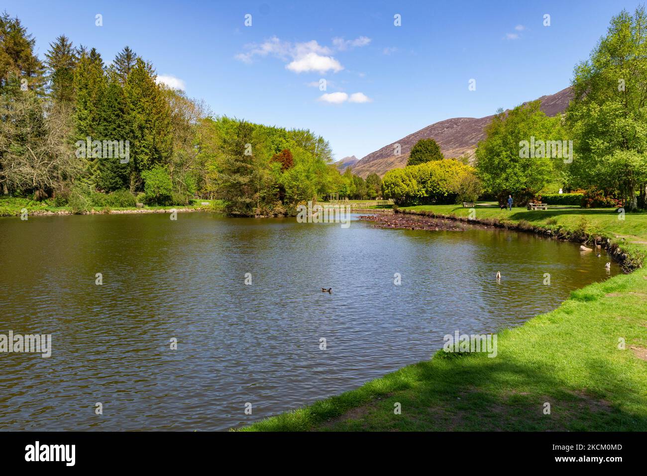 Lago di Silent Valley Reservoir County in basso Irlanda del Nord Foto Stock