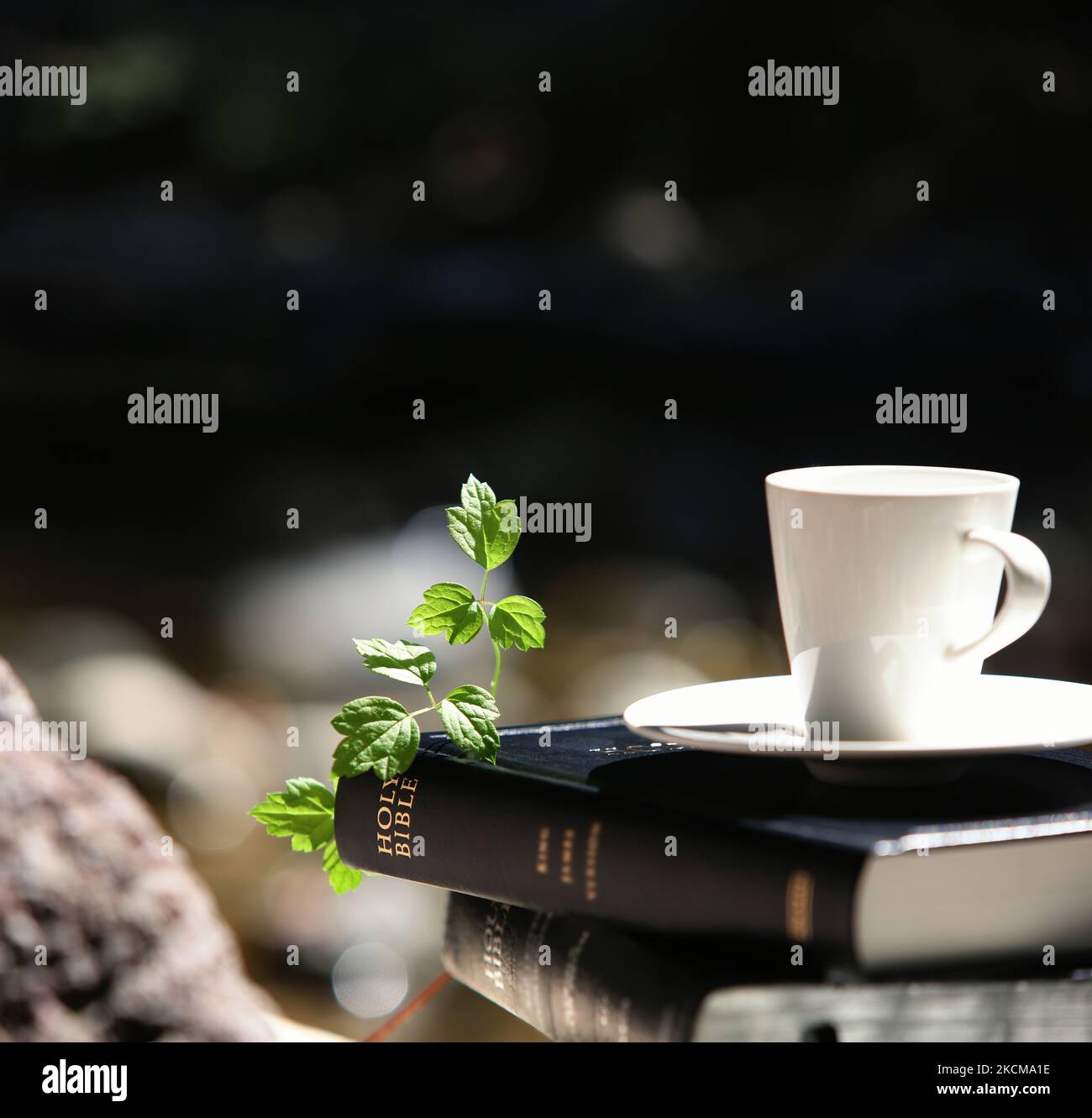 Parole di vita Sacra Bibbia, foglie verdi, teacup e viti Foto Stock