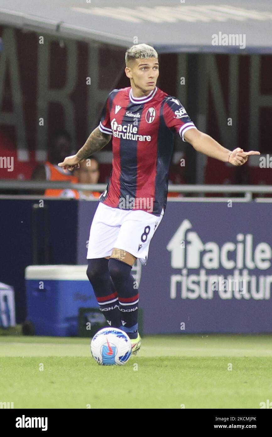 Nicolas Martin Dominguez -Bologna durante la serie calcistica italiana Una partita Bologna FC vs Hellas Verona FC il 13 settembre 2021 allo stadio Renato dall&#39;Ara di Bologna (Photo by Davide Casentini/LiveMedia/NurPhoto) Foto Stock