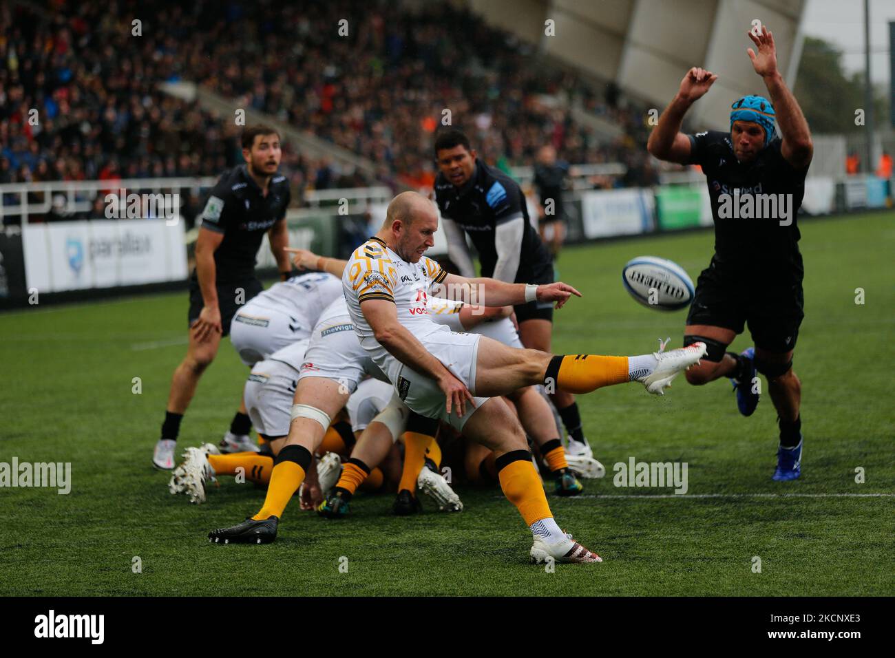 DaN Robson di Wasps si libera sotto pressione da Marco fuser di Newcastle Falcons durante la partita Gallagher Premiership tra Newcastle Falcons e London Wasps a Kingston Park, Newcastle, sabato 2nd ottobre 2021. (Foto di Chris Lisham/MI News/NurPhoto) Foto Stock
