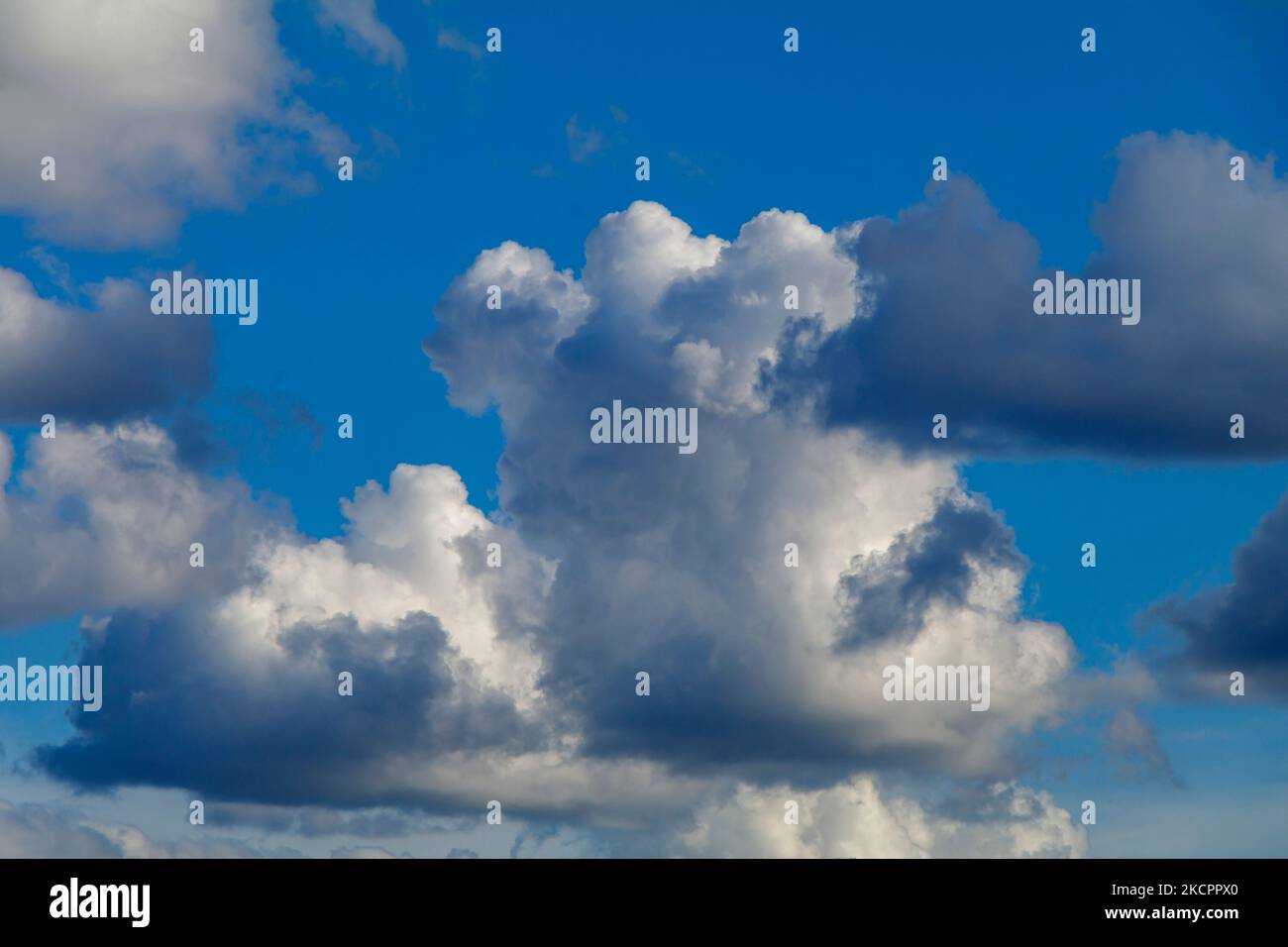 Cumulus nuvole contro un cielo blu Foto Stock