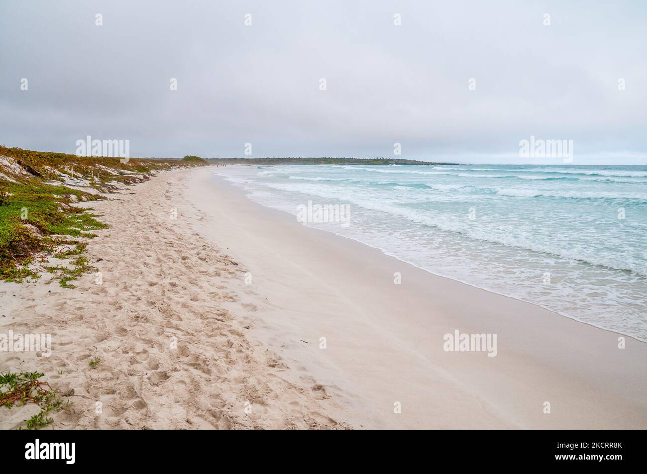 Tortuga Bay, ottobre, Santa Cruz, Isole Galapagos Foto Stock