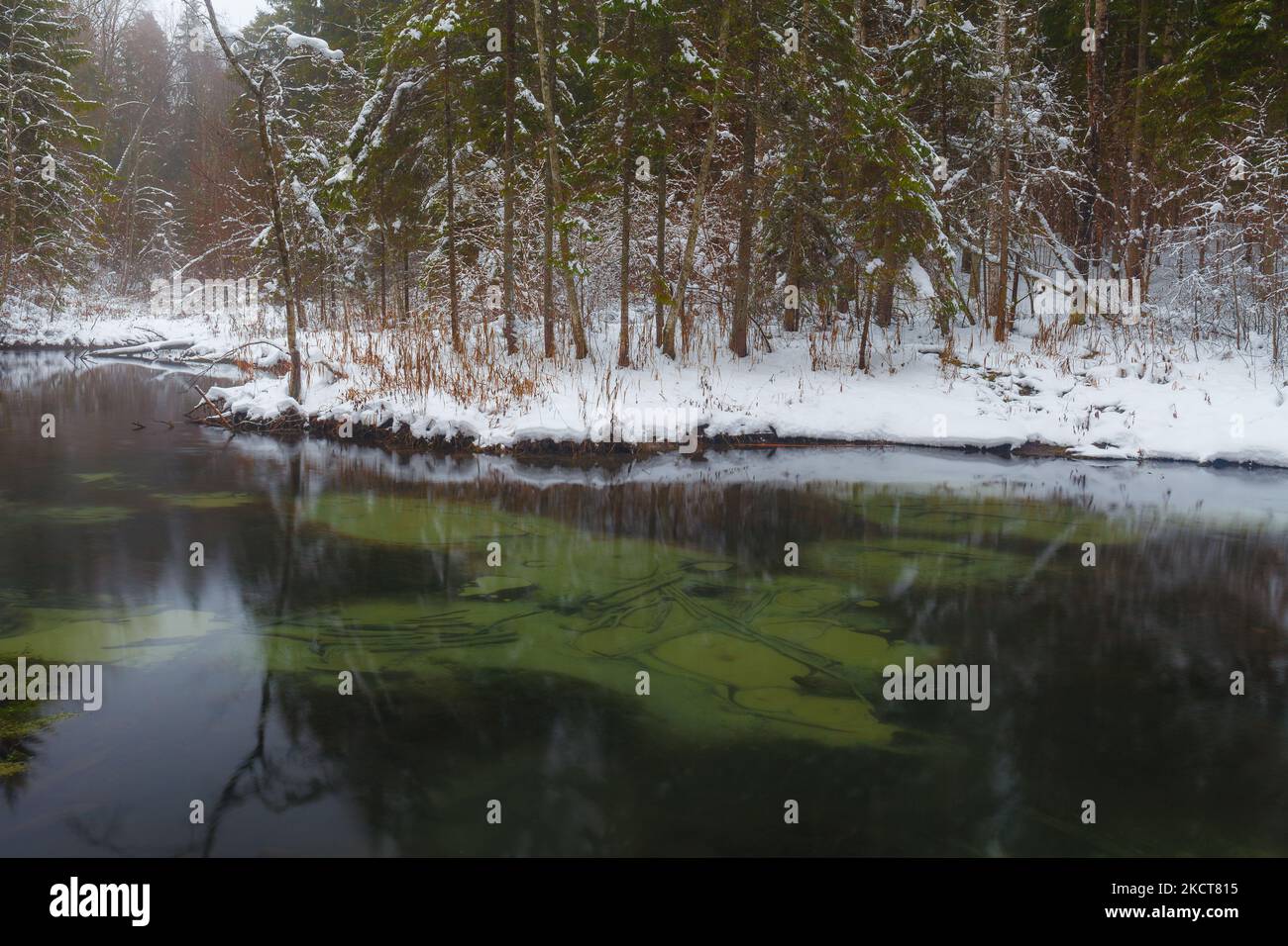 Sorgenti blu Saula (siniallikad in estone) in inverno nevoso Foto Stock