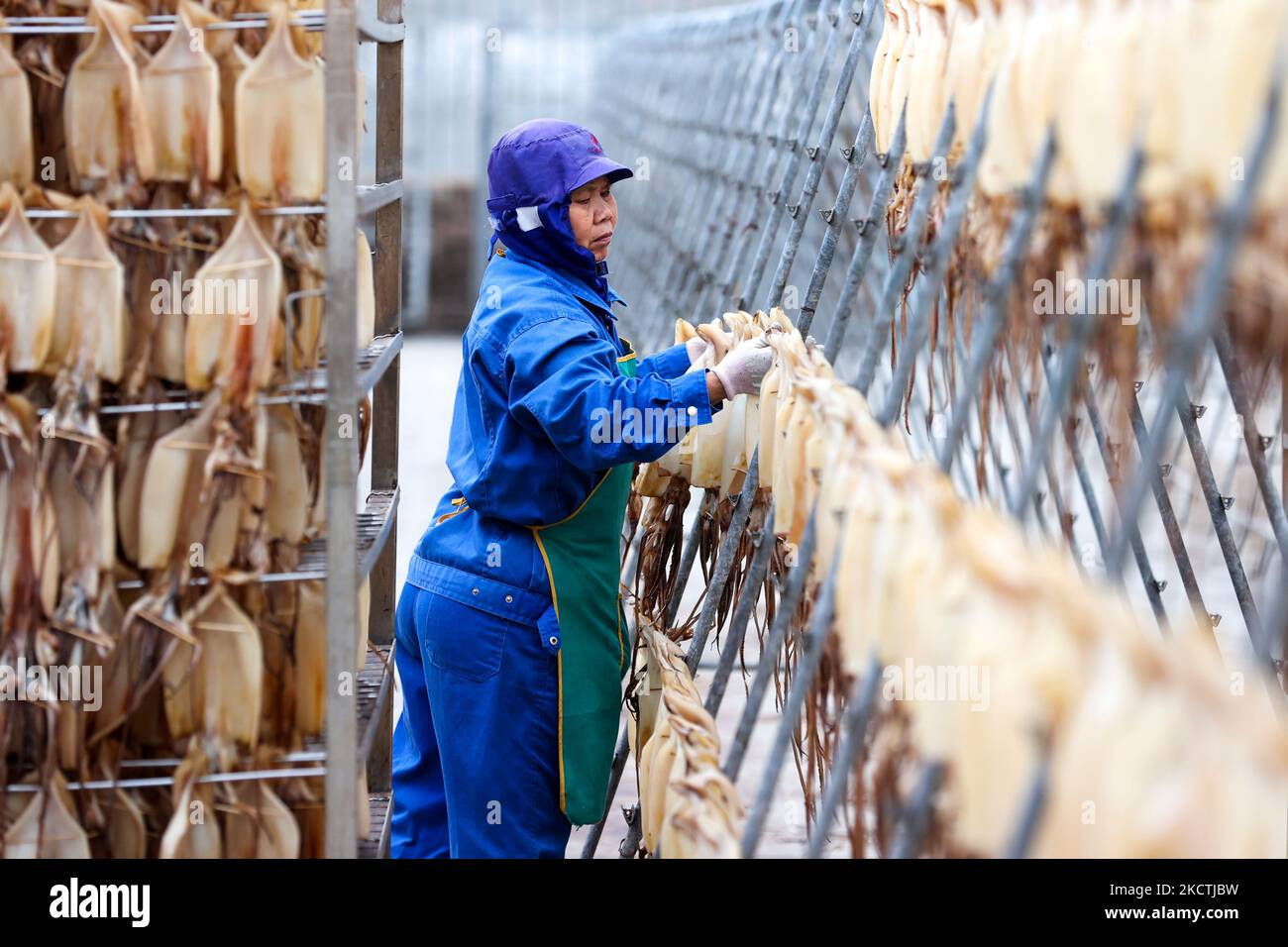 ZHOUSHAN, CINA - 5 NOVEMBRE 2022 - Un operaio raccoglie calamari secchi in una fabbrica di lavorazione di prodotti alimentari a base di pesce a Zhoushan, Zhejiang provin della Cina orientale Foto Stock