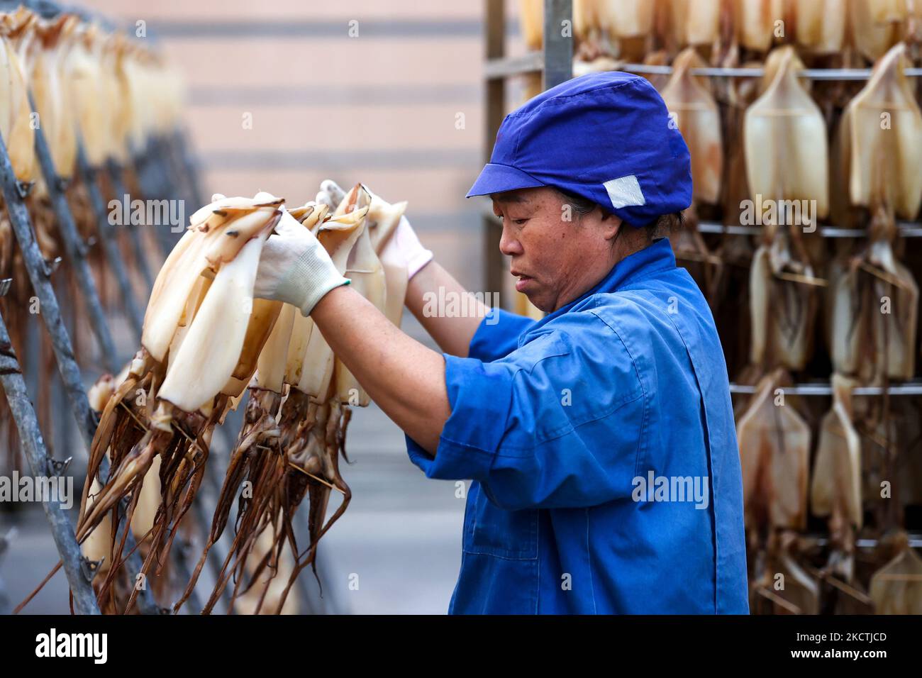 ZHOUSHAN, CINA - 5 NOVEMBRE 2022 - Un operaio raccoglie calamari secchi in una fabbrica di lavorazione di prodotti alimentari a base di pesce a Zhoushan, Zhejiang provin della Cina orientale Foto Stock