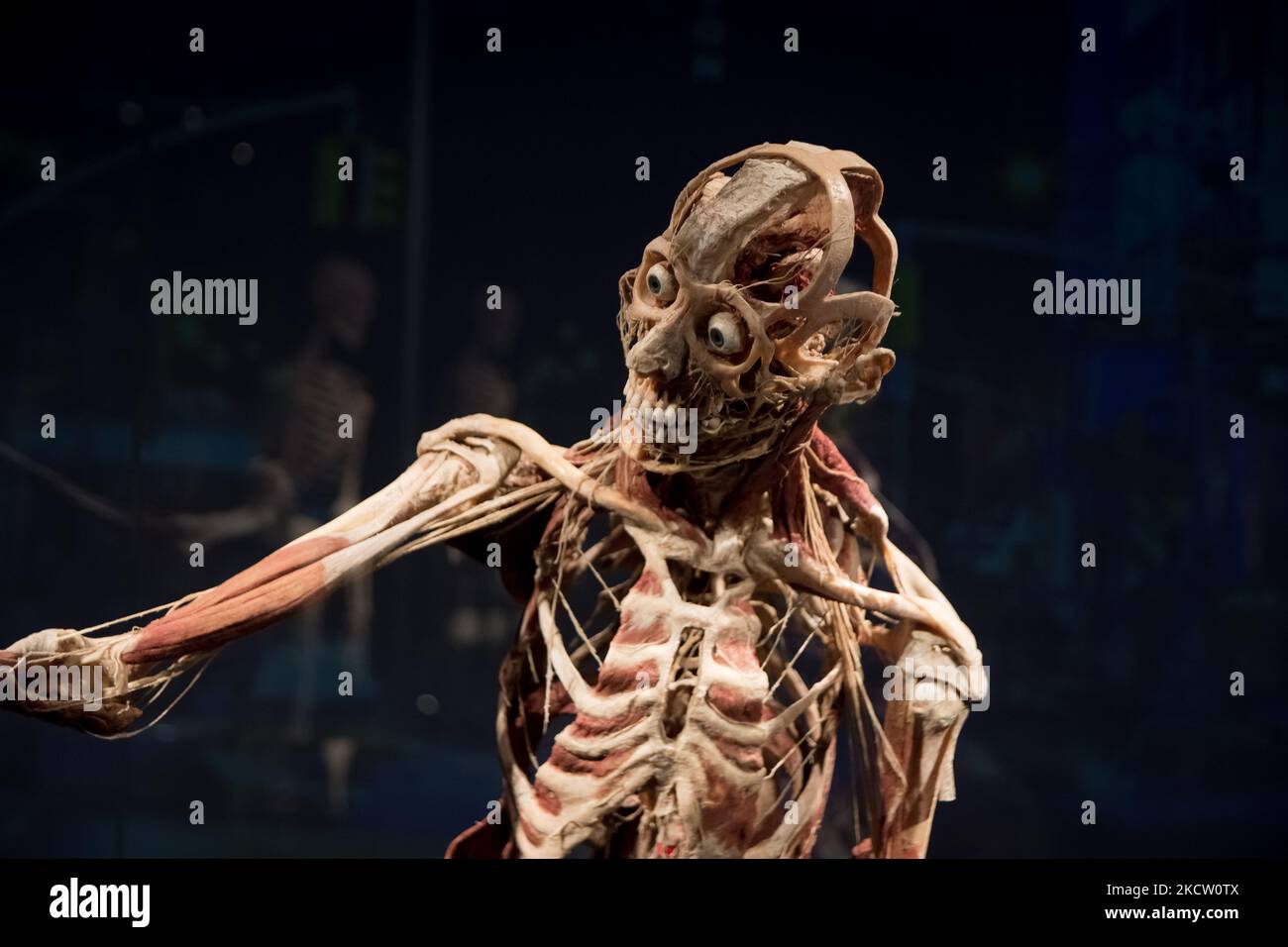 Body Worlds è una mostra di veri corpi umani e contiene veri esemplari umani ad Atene, in Grecia, il 15 novembre 2021. (Foto di Nikolas Kokovlis/NurPhoto) Foto Stock