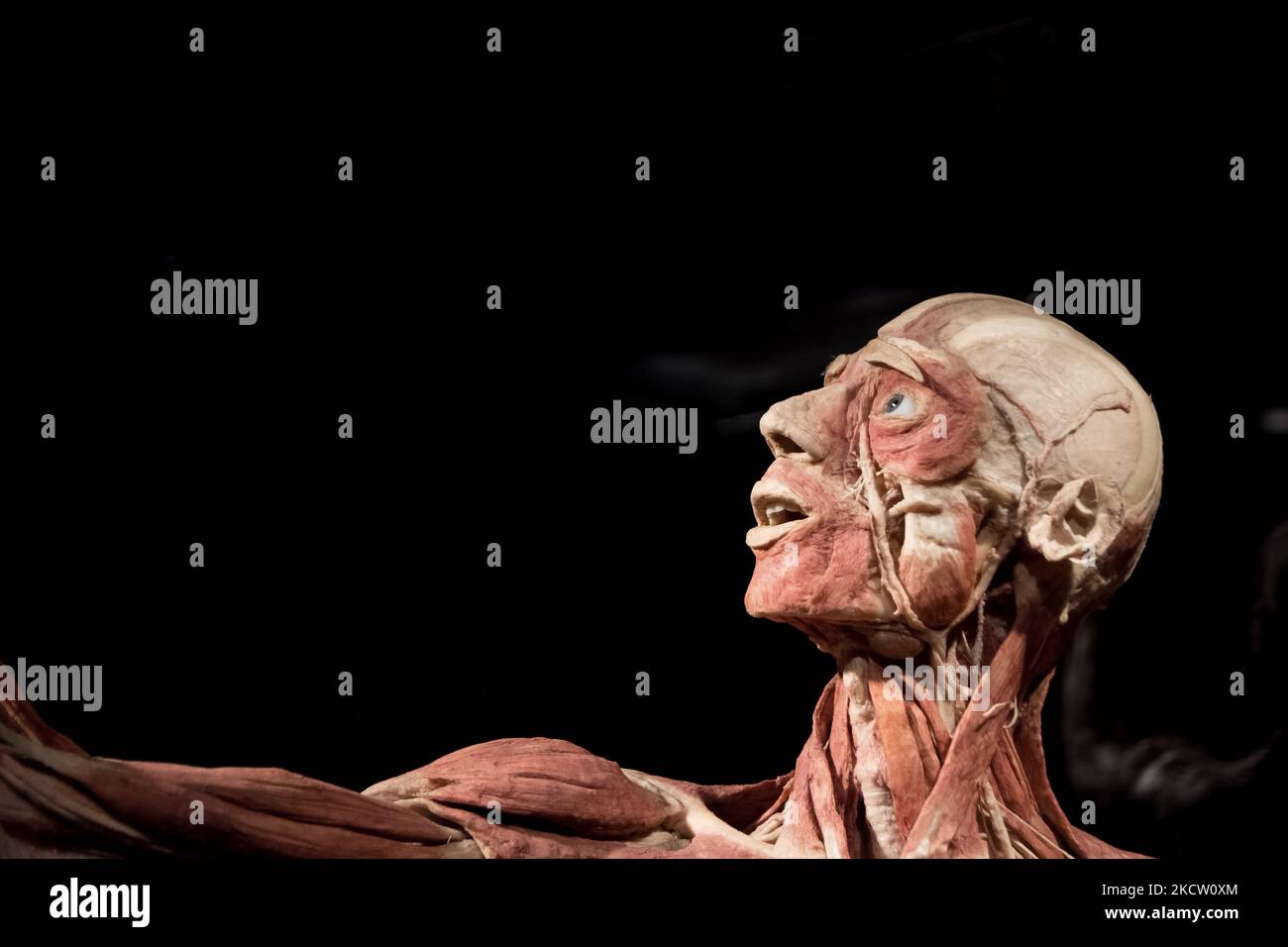 Body Worlds è una mostra di veri corpi umani e contiene veri esemplari umani ad Atene, in Grecia, il 15 novembre 2021. (Foto di Nikolas Kokovlis/NurPhoto) Foto Stock