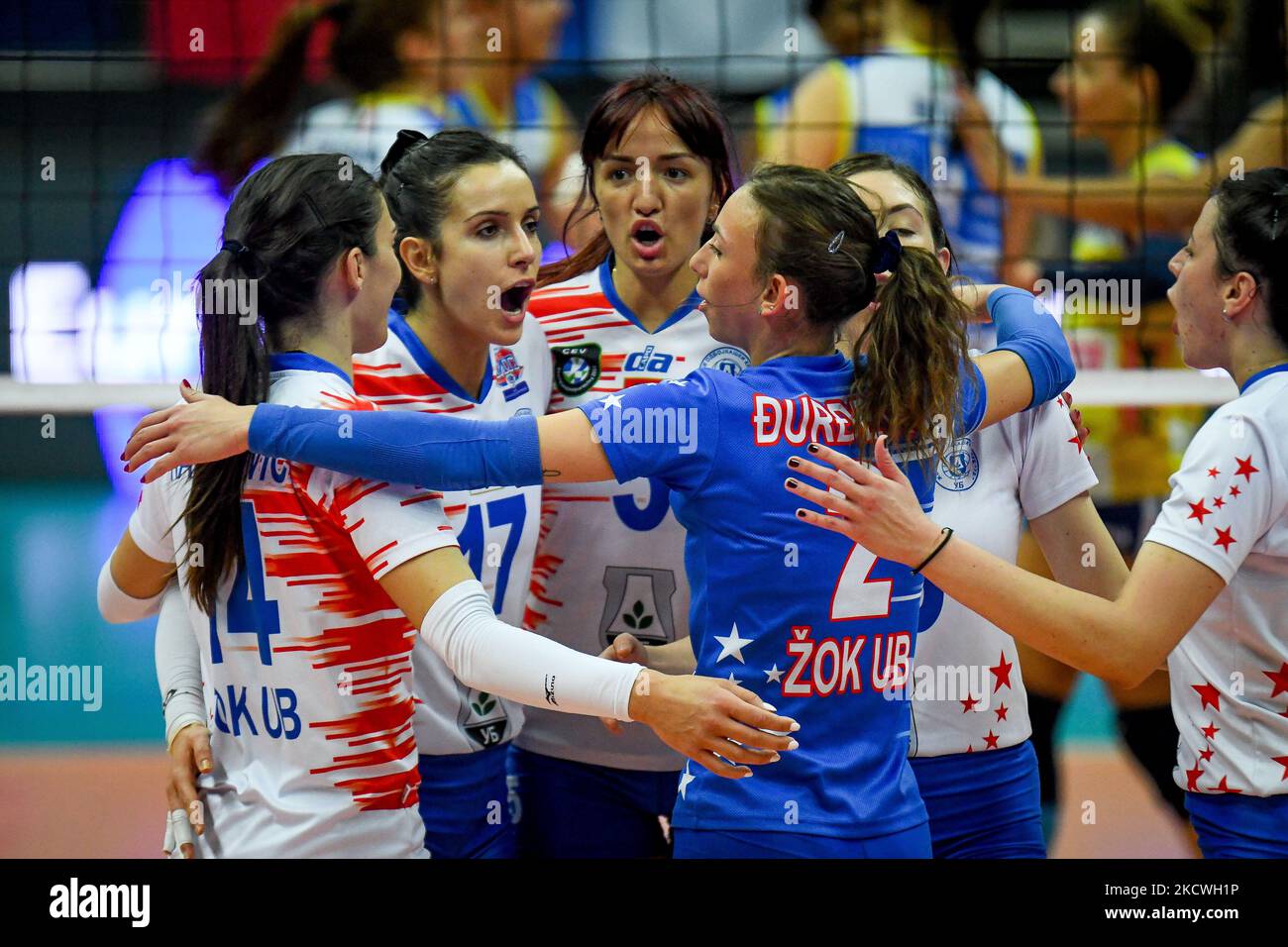 Felicità di ZOK Ub Serbia durante il CEV Champions League incontro di pallavolo femminile A. Carraro Imoco Conegliano vs ZOK Ub Serbia il 24 novembre 2021 al Palaverde di Treviso (Photo by Ettore Griffoni/LiveMedia/NurPhoto) Foto Stock