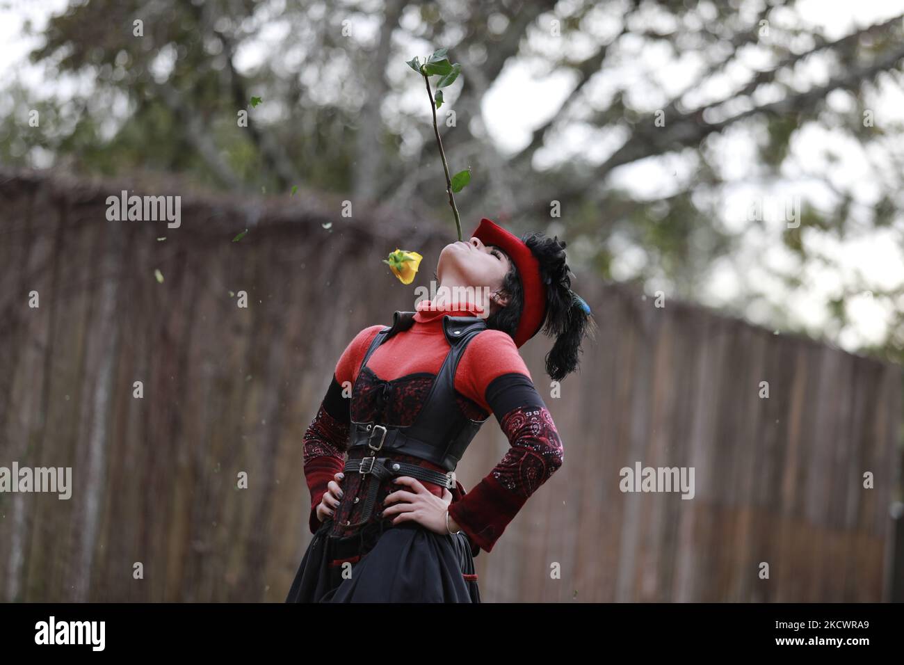Una donna tiene è una rosa gialla nella sua bocca mentre un uomo usa una frusta per tagliarla fuori dal gambo in una rappresentazione al festival del Rinascimento del Texas. Gli artisti hanno incantato i festeggiatori nell'ultimo fine settimana del Texas Renaissance Festival di venerdì 26th novembre a Todd Mission, Texas. Gli spettacoli includevano danza del fuoco, gruppi musicali iniziali e spettacoli di sideshow. (Foto di Reginald Mathalone/NurPhoto) Foto Stock