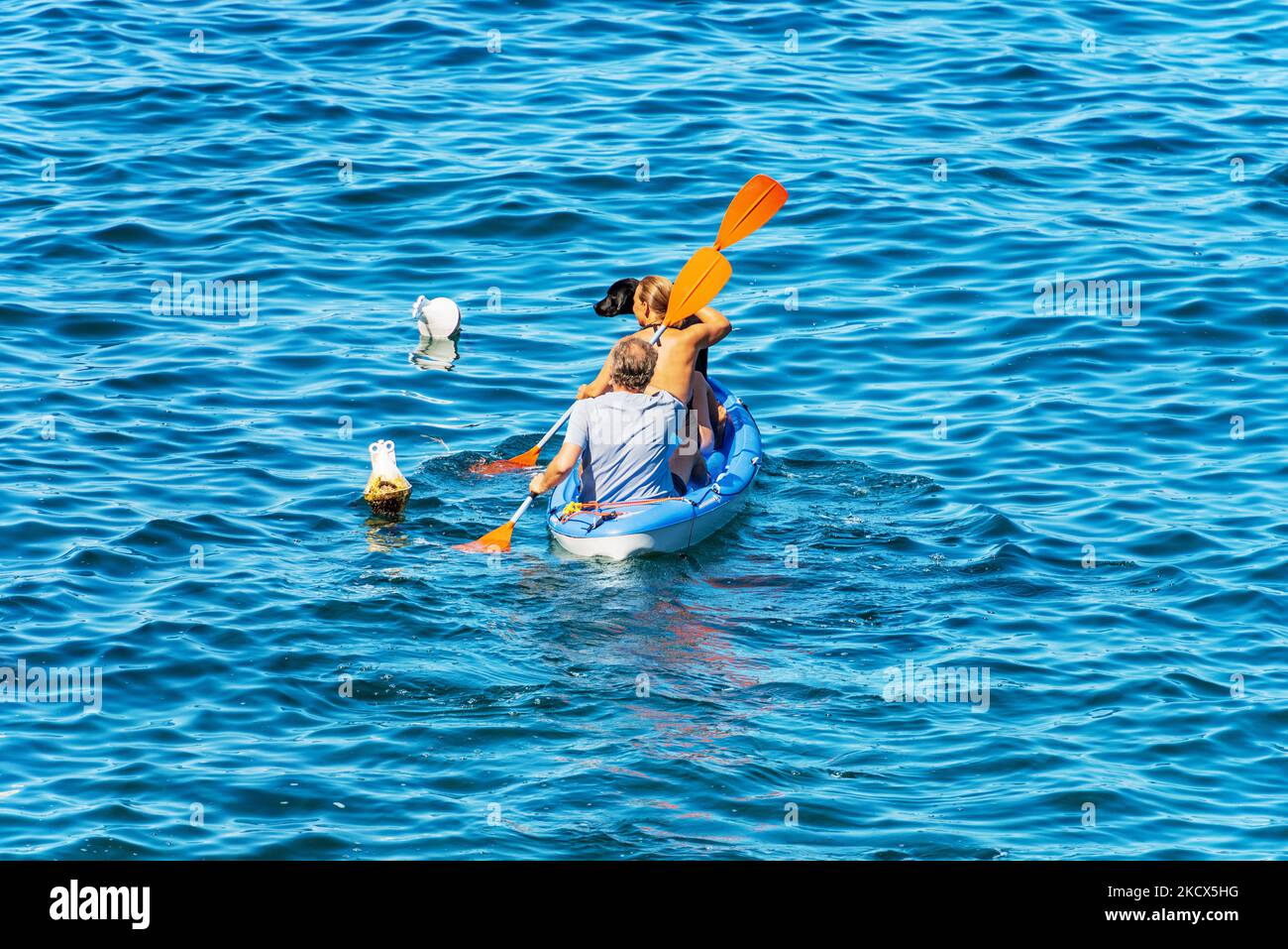 Due persone e un cane nero a bordo di un kayak, in pagaiata nel blu del Mediterraneo, in una giornata di sole estate. Golfo di la Spezia, Liguria, Italia, Europa. Foto Stock