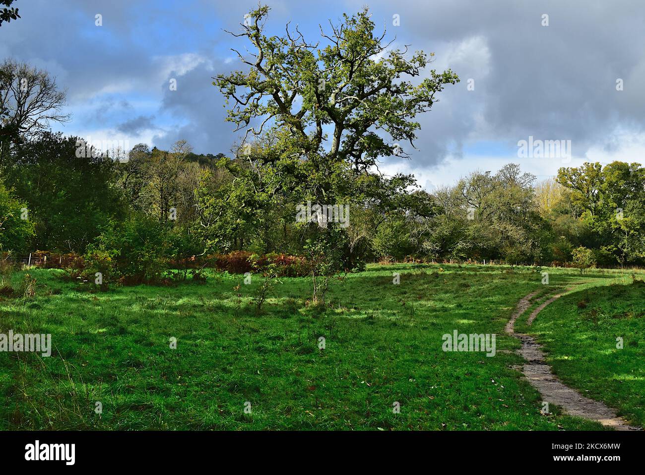 Parke Bovey Tracey. Foto Stock