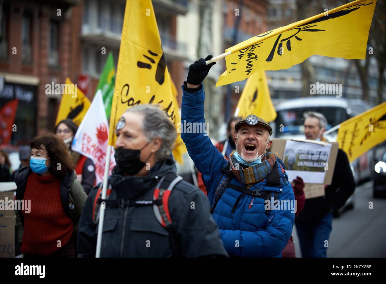 Un protester reagisce. Diverse organizzazioni come la FNE (France Nature Environmentement), il collettivo Lescout (che combatte contro una mega fattoria di oltre 200.000 polli), la Confederazione sindacale Paysanne ha organizzato una marcia a Tolosa. Protestano contro l'obbligo di blocco del pollame a causa della malattia epizoozia di influenza aviaria da parte del governo francese. I manifestanti hanno spiegato che l'influenza è più contagiosa nell'agricoltura intensiva che nell'agricoltura estensiva. Sostengono inoltre che questo blocco obbligatorio ucciderà l'allevamento estensivo di pollame. Hanno spiegato in un mercato aperto le ragioni della protesta Foto Stock