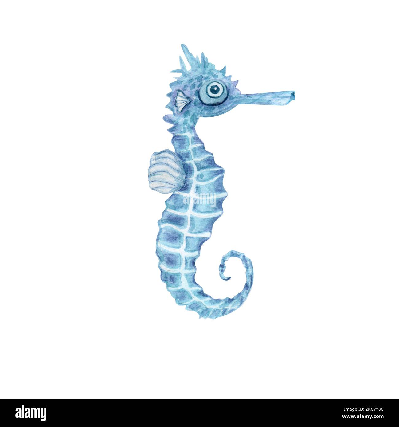 Cavalluccio marino in stile acquerello isolato su sfondo bianco. Mare, oceano, fauna marina. Per banner poster stampa cartolina, mascherina in tessuto scheda clipart Foto Stock