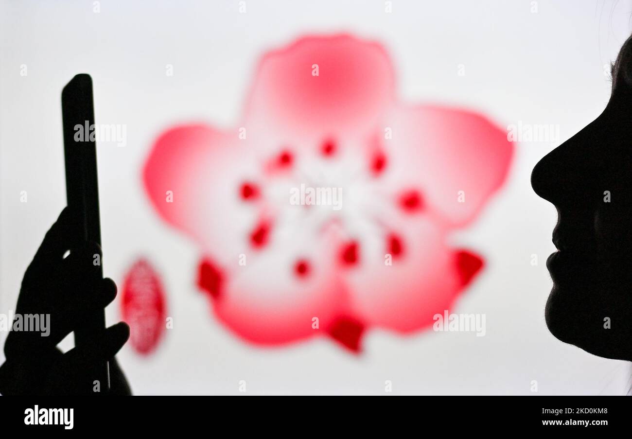 Immagine di una donna che tiene un telefono cellulare davanti al logo di China Airlines visualizzato sullo schermo di un computer. Martedì 12 gennaio 2021, a Edmonton, Alberta, Canada. (Foto di Artur Widak/NurPhoto) Foto Stock