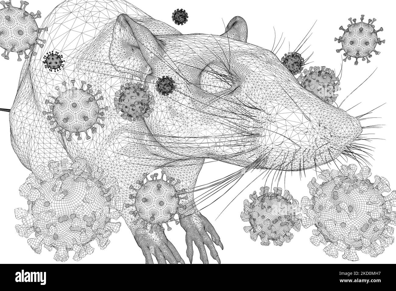 Symbolbild: CGI-Visualizierung: Coronavirus, Mutationen Delta Omicron: Aufgrund der zahlreichen Mutationen in der Oberflaechenstruktur der Omicron Var Foto Stock