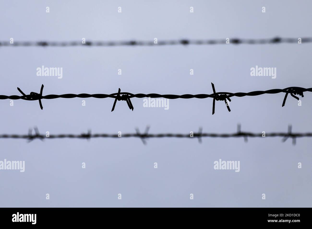 Recinzione di filo spinato nel campo di concentramento e sterminio nazista-tedesco di Auschwitz II-Birkenau a Brzezinka, nei pressi di Oswiecim, Polonia, il 27 gennaio 2022. (Foto di Beata Zawrzel/NurPhoto) Foto Stock