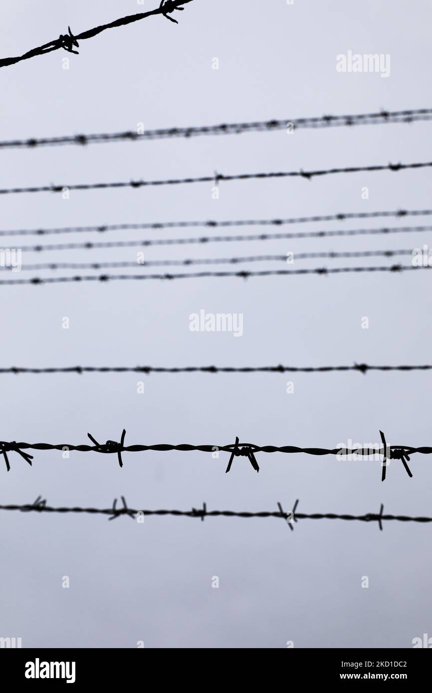 Recinzione di filo spinato nel campo di concentramento e sterminio nazista-tedesco di Auschwitz II-Birkenau a Brzezinka, nei pressi di Oswiecim, Polonia, il 27 gennaio 2022. (Foto di Beata Zawrzel/NurPhoto) Foto Stock